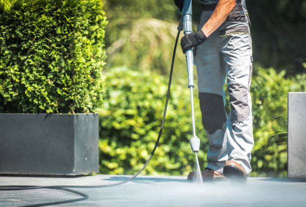 Animal Enclosure Cleaning in Marvin, NC