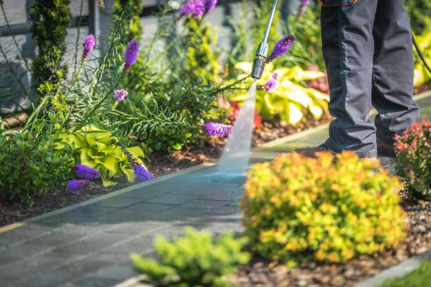 Best Patio and Deck Pressure Washing  in Marvin, NC
